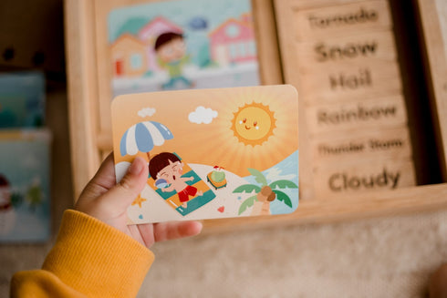 QTOYS - Weather Play Set